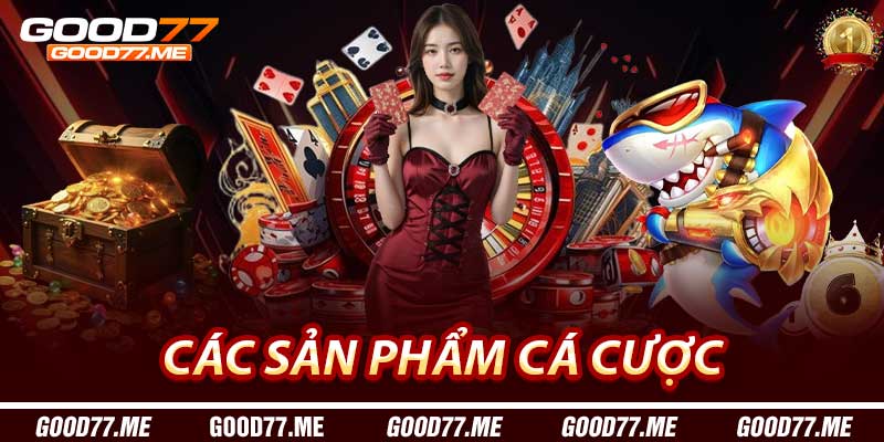 Các sản phẩm cá cược
