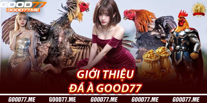 Giới Thiệu Đá Gà Good77