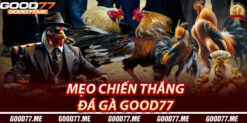 Mẹo Chiến Thắng Trong Đá Gà Good77